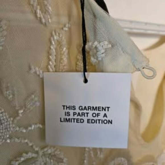 ZARA LIMITED EDITION Embellished Mesh Midi Shift Dress NWOT - $60 FIRM PRICE - Picture 6 of 8